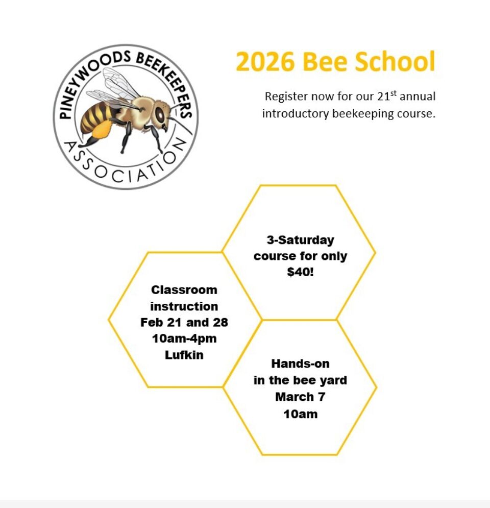  Bee School